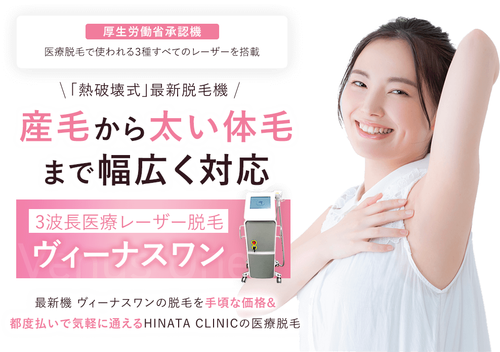 「熱破壊式」「蓄熱式」対応 2023念最新脱毛機 産毛から太い体毛まで幅広く対応 3D N CORE 全身脱毛はもちろん気になる部位の部分脱毛もOK